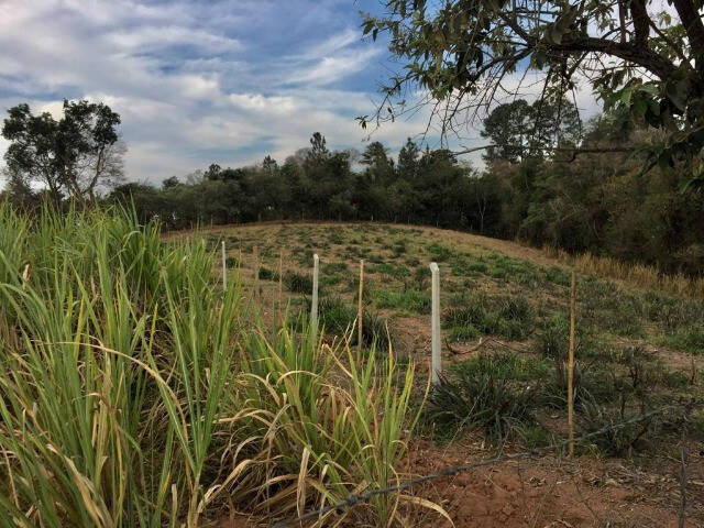 Terreno para Venda em Itupeva - 4