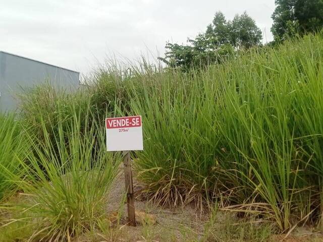 #1453 - Terreno para Venda em Itupeva - SP - 1
