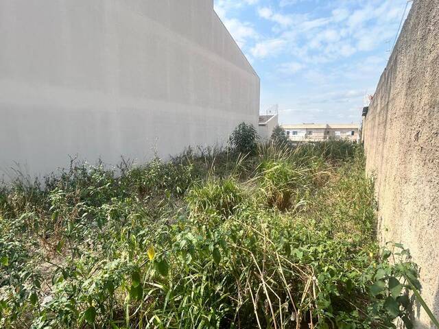 #3101 - Terreno para Venda em Jundiaí - SP - 2